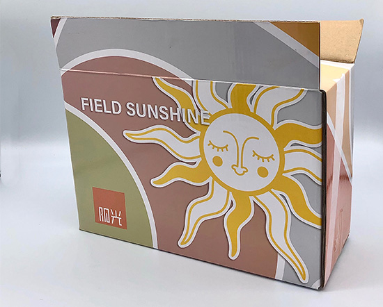 彩印纸箱（xiāng）